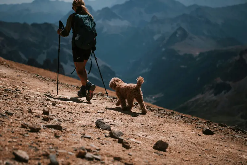 A hiker with trekking poles and a small dog on a steep, rocky mountain slope